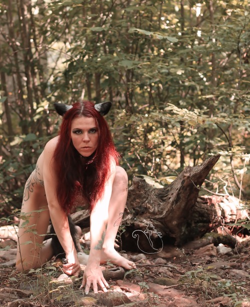 Feral ginger cauc