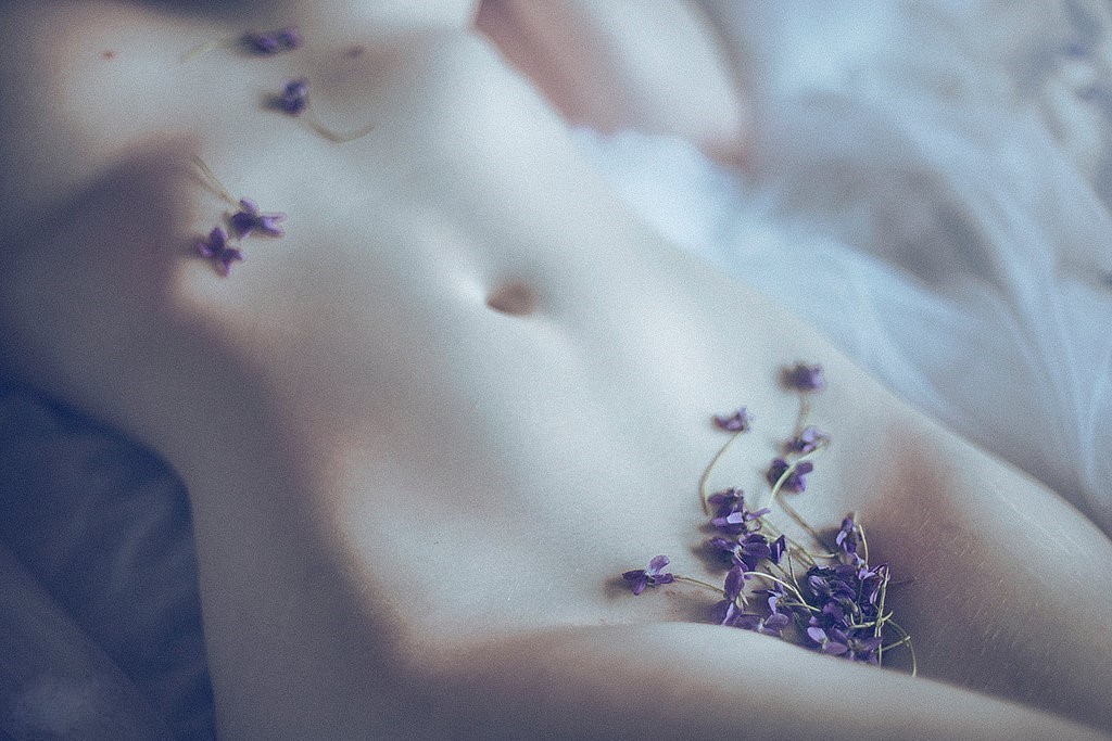 siyahalbatros:    Violette