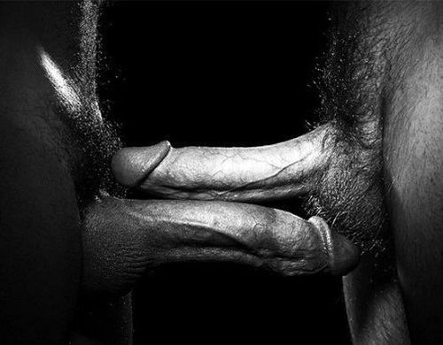 bbincumming2:  hotmales-n-stuff:  follow Hot Males ‘n Stuff and my more work safe blog Tissy’s Stuff  http://bbincumming2.tumblr.com/tagged/cock