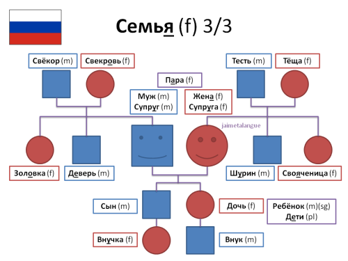 jaimetalangue:  “NORMAL&ldquo; family grandmother: бабушка grandfather: дедушка pet: домаш