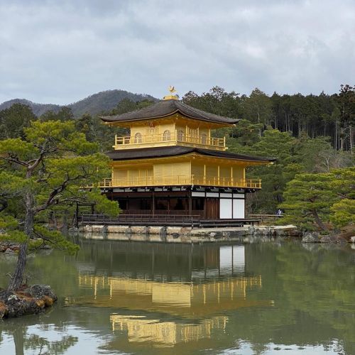 Golden Pavilion - Kinkakuji #latergram
Thanks for recommending that we go, @satsu_yama. It was amazing! (at Kinkaku-ji)
https://www.instagram.com/p/B8cP5EAJWZi/?igshid=1ftwwpaa73u3z