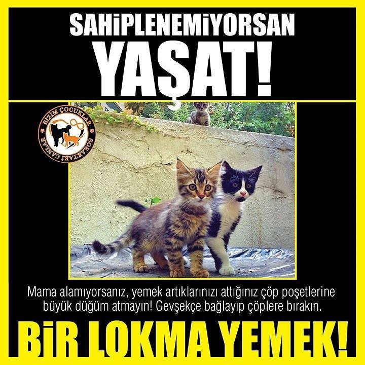Bi Parça Gökyüzü