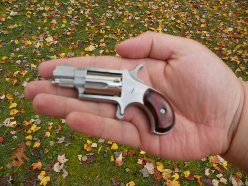 A peashooter classic; A picture of my North American Arms .22 long rifle single action mini revolver