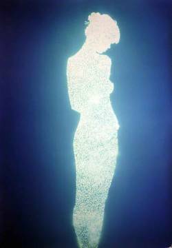 foxesinbreeches:  Tetrarch from the series Guests by Christopher Bucklow, 2011
