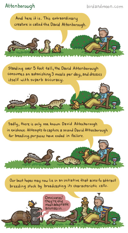 archiemcphee:Thanks to field naturalist and artist Rosemary Mosco of birdandmoon, the animals have f