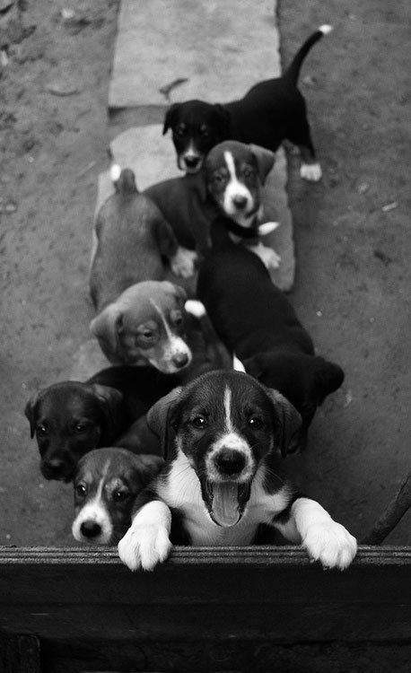 bacon-radio:  galtar101:  inoffensively:      (via TumbleOn)  My home at present.