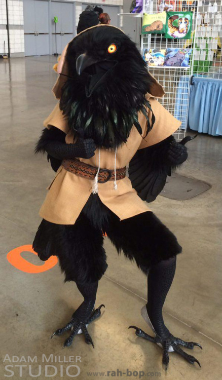 thekingdomofangst:  rah-bop:  Some photos of my kenku costume at Anthrocon 2016, taken by @adammillerstudio! Oh boy did I ever have a lot of fun! The other raven in these photos is @qawstume and the snowy owl we are mobbing is @crystumes, who made both