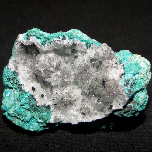 Green Clinoatacamite crystals on druzy Selenite on Chrysocolla - El Tesoro Mine, Sierra Gorda, Antof