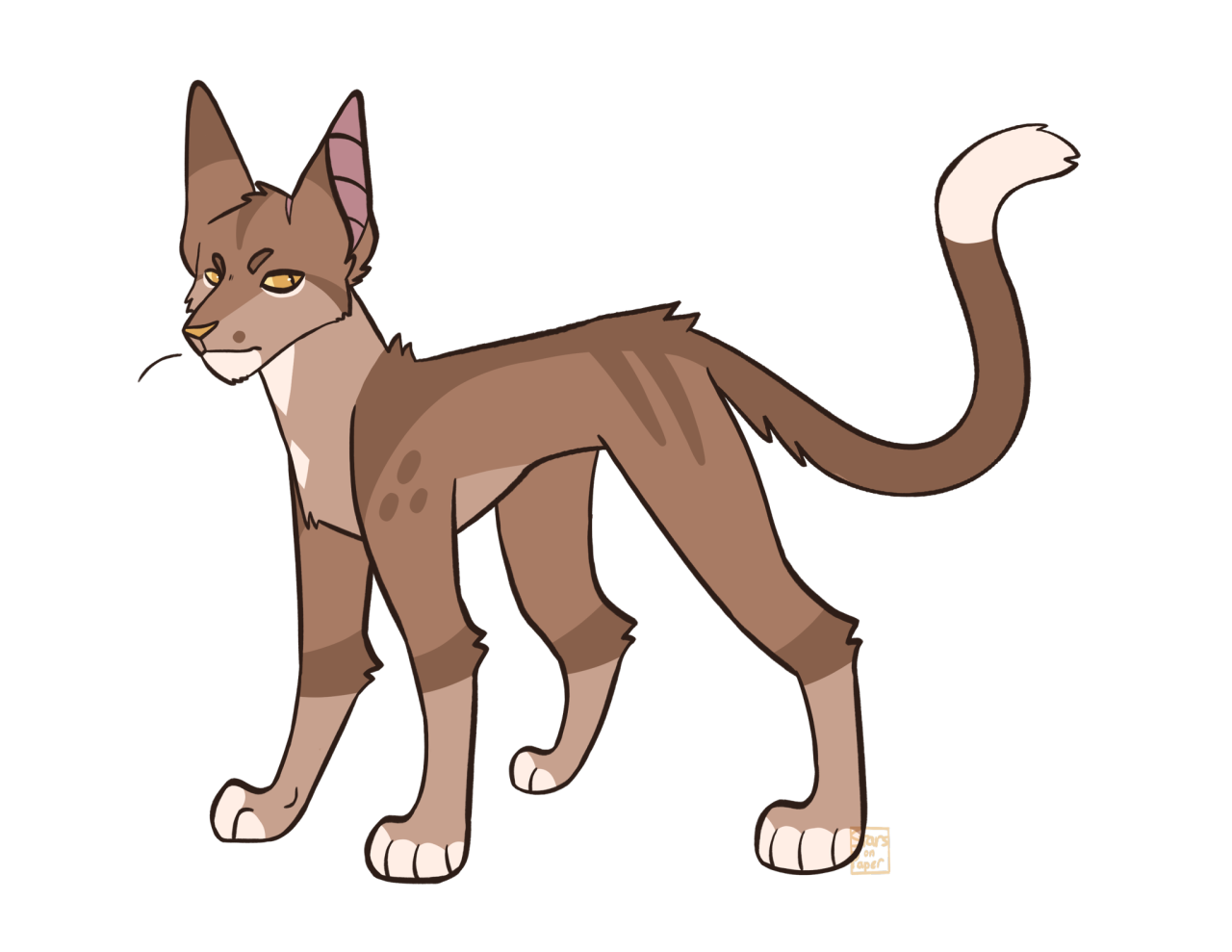 jayfeather warrior cats Thunder the Silkwing - Illustrations ART