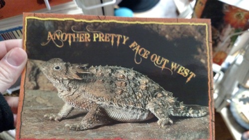 equagga:  foxesjaw: These postcards look like Tumblr shitposts. are these for sale somewhere because