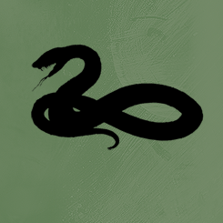 Harry Potter and Percy Jackson