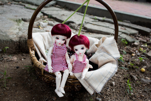 luciadollstudio:Cherry USD BJD Photo shoot 2/  루시아돌 체리 USD 구체관절인형 화보2  As soon as it stopped raining