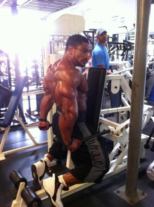 snarlthewerewolf:  roidsville-zoo:  Roelly Winklaar  Fuck damn, those triceps 
