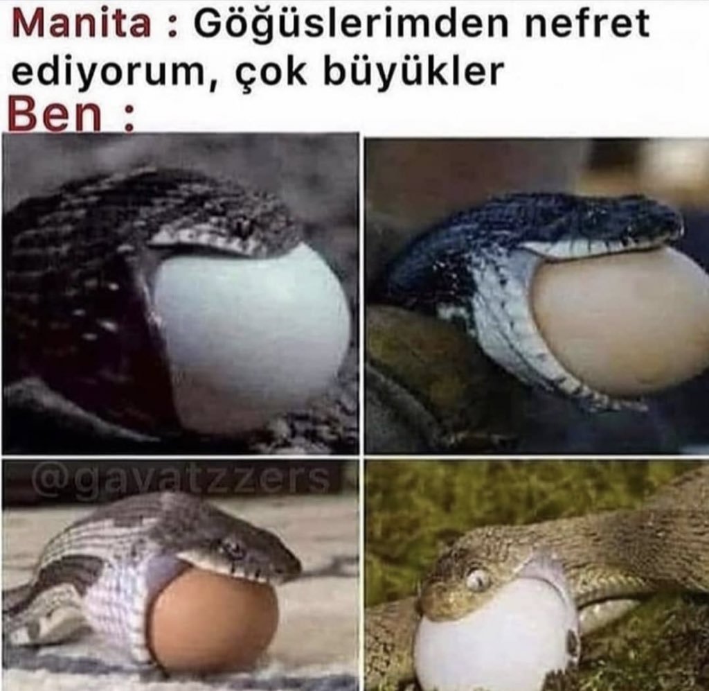 Manita : Göğüslerimden...