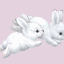snowbunnys