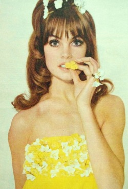 ladiesofthe60s:  Jean Shrimpton for Elle, 1964.