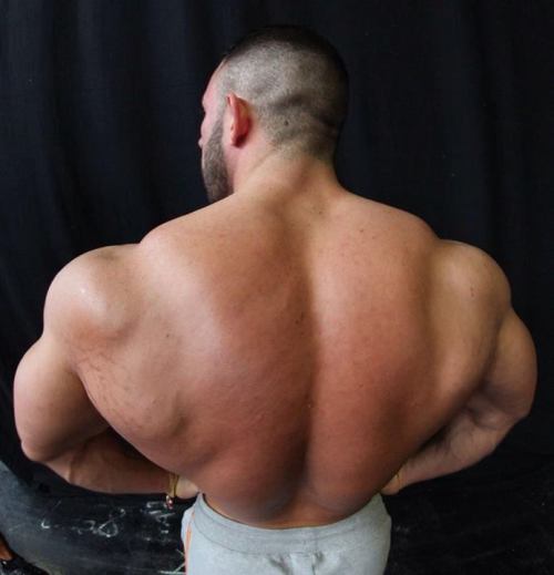 thick-sexy-muscle:  Kevin Wolter - front and back