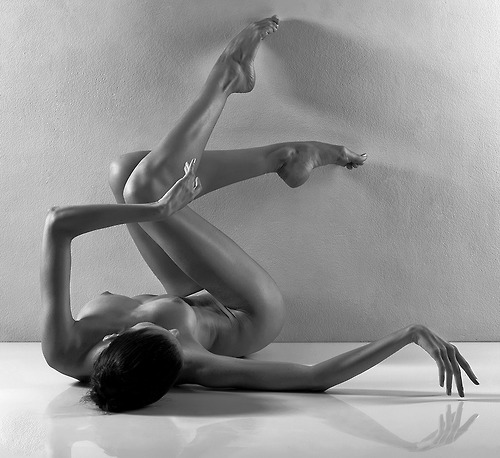 Antoinette Art and Photos