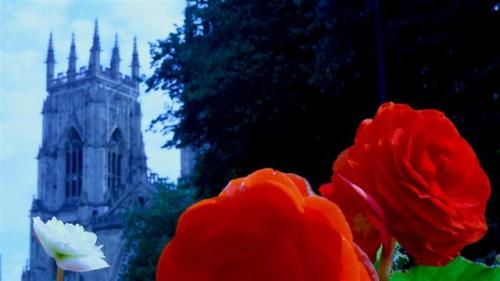 Towards York Minster.