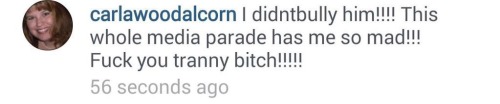 amorphinetoast:outcomer:Leelah’s mothers recent comments on Laverne Cox’s instagram post.this is fak