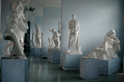 La Sapienza University Campus - Museum of Classical Art
