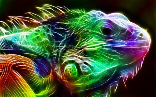 unknowneditors:  Digital illustrations by Minimoo64  The series of digital illustrations by the Canadian artist, known under the nickname minimoo64, isn’t directly related to mathematical fractals. She simply transforms usual animal portraits into glowing
