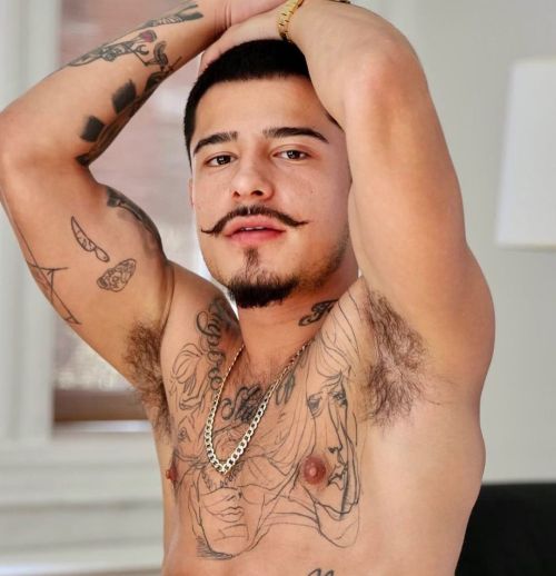 https://hairysweatysmelly.tumblr.com/post/702958577775722496