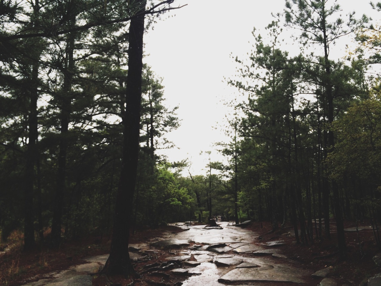 secretofthetrees:  Stone Mountain Georgia