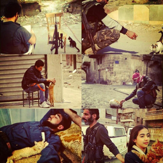 vanoos:  Syria..Mujahadeen of Syria and their compassion and mercy to even the animals,