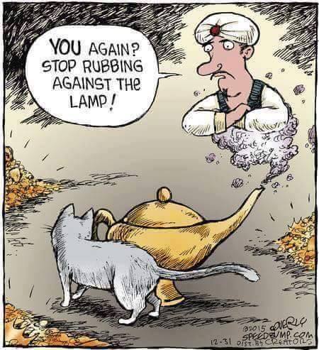 Too Cute! This Made Me Giggle. -B