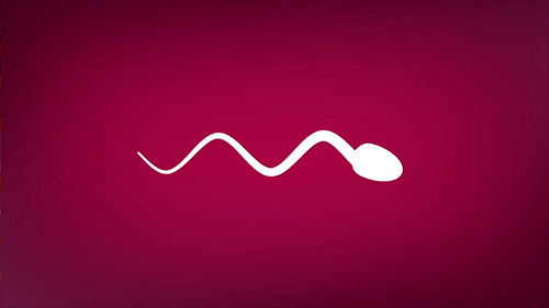 biiiiitch696:  biiiiitch696:  biiiiitch696:  ⚫🔴⚫ WELCOME TO MAN’S WORLD OF PLEASURE. 😃😃😃  Hook up hot man near u for ❤Love 🔥Pasion 😃Friendship 💦Fuck  PUSH THE BUTTON 👉 👉👉 http://bit.ly/2vSb61T AND ENJOY.    CLEAN