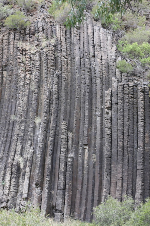 geologicaltravels:2015: Pleistocene columnar basalts (2.5Ma - 2.8Ma) being the main feature at Organ