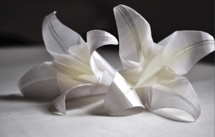 mayahan:  Origami Art 