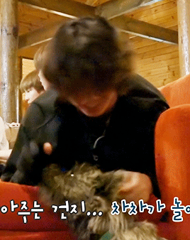 Two Puppies~