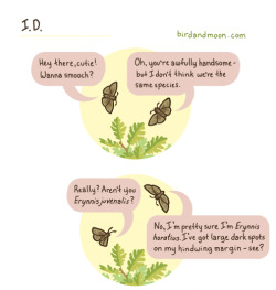 birdandmoon:  Every branch of nature-watching has its own ridiculously tough IDs. Feel free to substitute your own! Here’s a link to this comic on my site. 