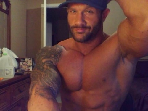 Adonis Files