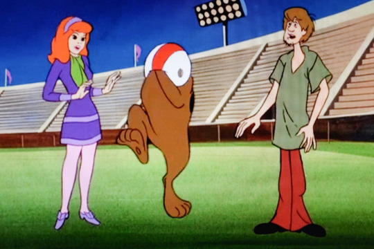 Happy Sportsball Day!