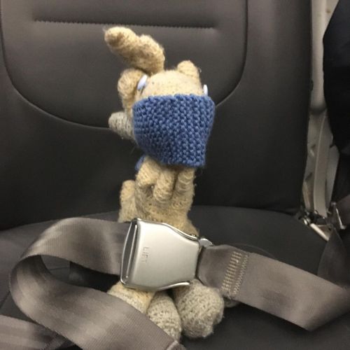 I like to be safe in the plane! #murphysplushtrips #murphysplush #amigurumi #yarncrafts www.