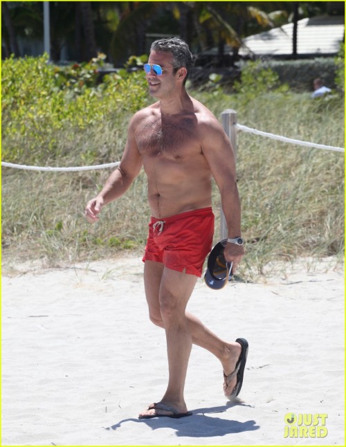 pussyboyfaggot:  dailydoseofdilf:  holydilfbatman:  He looks quite like my boyfriend.   ok andy cohen, we see you  You bet your ass i would