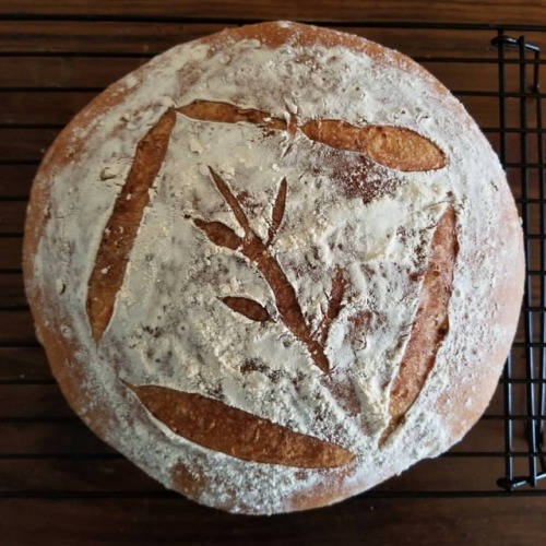 transarterrified:Practicing some loaf slashing on a seedy cheater’s sourdough loaf