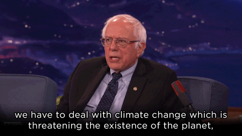 yahooentertainment:Bernie on point 