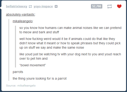 ifjohnwatsoncanblogicantoo: wartortles: thenextnarcissus: morrissarty: the best of tumblr confusion 