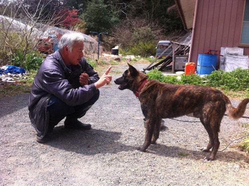 The Radioactive Man Who Returned To Fukushima To Feed The Animals That Everyone Else Left Behind