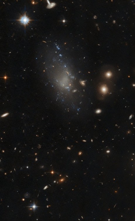 Ultra-Diffuse Galaxy