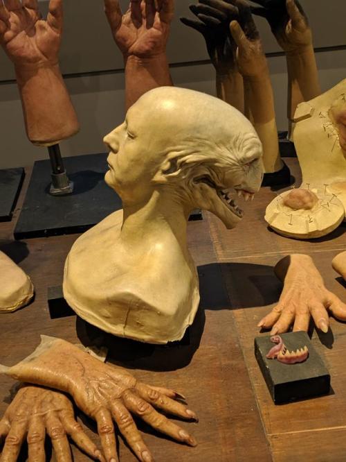 apodemusalba:sixpenceee:Voldemort/Quirrell face model                        Source This looks creep
