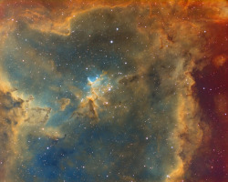 te5seract:    Melotte 15 &amp;  IC 410 Tadpoles by  Jesper Sundh