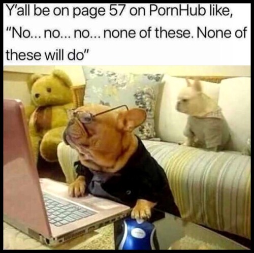heyhayfay:  nate2781:Been there lol   @mossyoakmaster. Im not the only one right!? 😂😂  Bahahaha I rarely use pornhub, usually just tumblr porn 😂🤷🏼‍♂️
