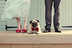 in-my-little-big-world:  Couple And Pug 😁 no We Heart It. http://weheartit.com/entry/71670955/via/estranhamenteapaixonada 