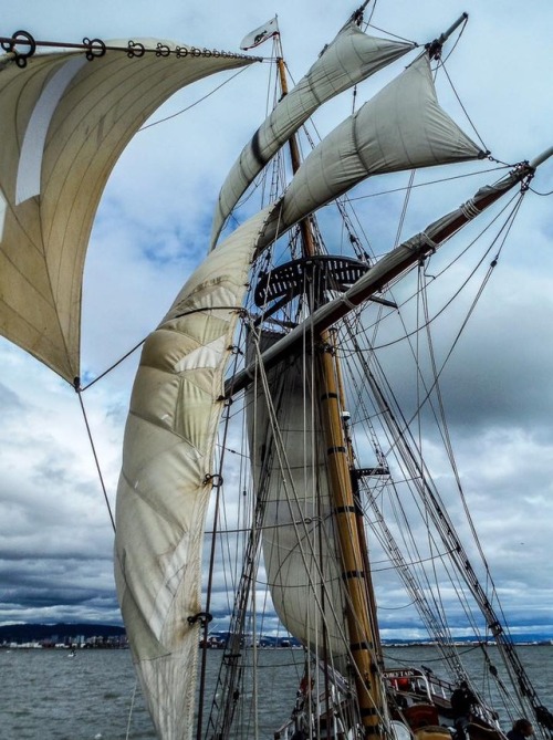 longmaytheysail:Wind in Hawaiian Chieftain’s sails by Kate Hruby