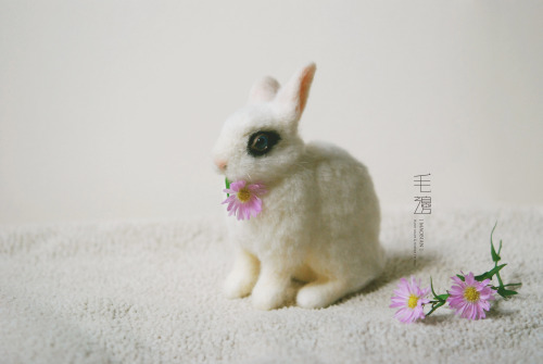 ▋ Hotot Rabbit ( custom-made ) Sculpture approximately 6.5 x 13.5 x 11 cm ( not including ears )